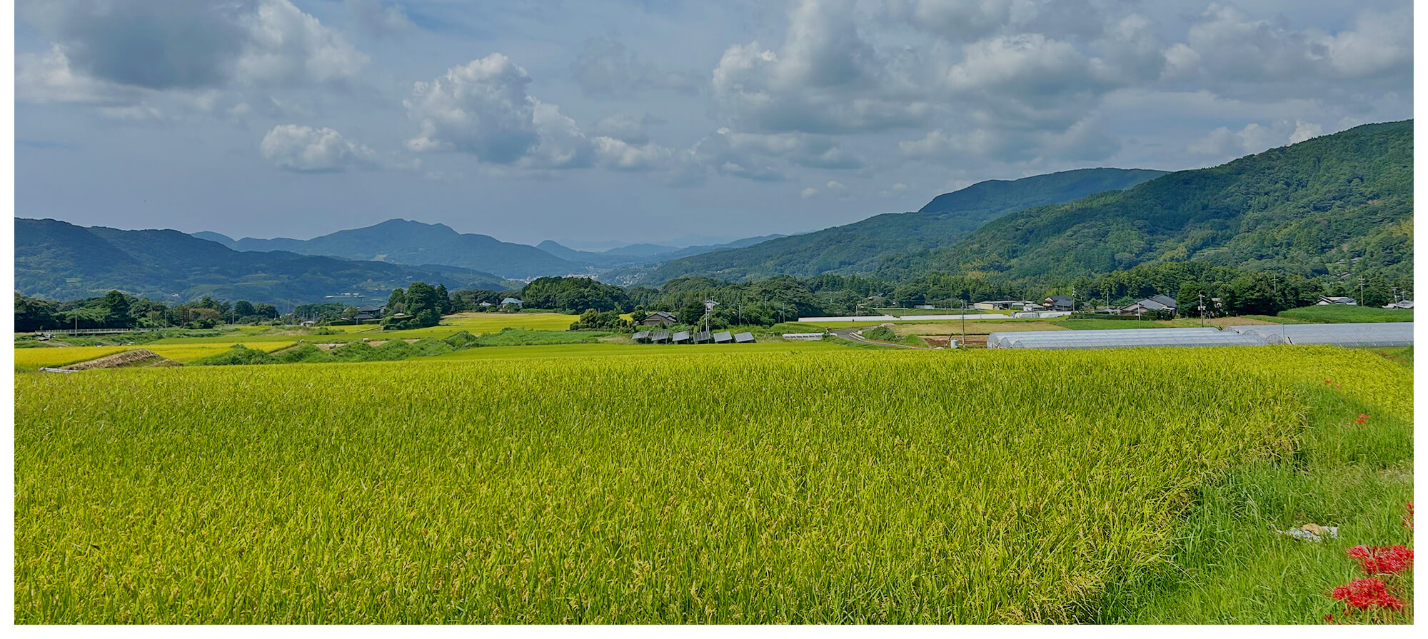 産地と顧客ユーザーとの架け橋
