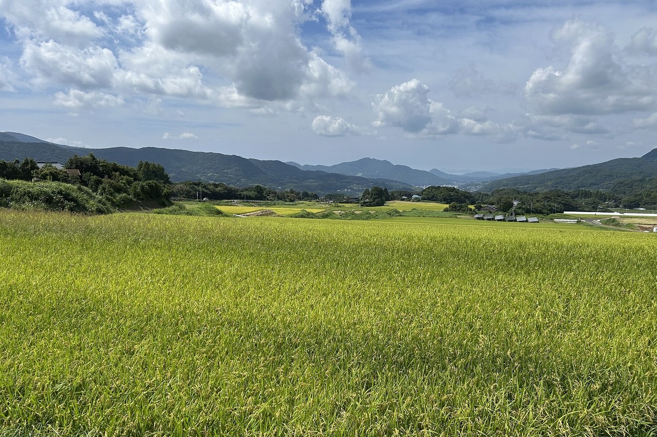 株式会社小松商店